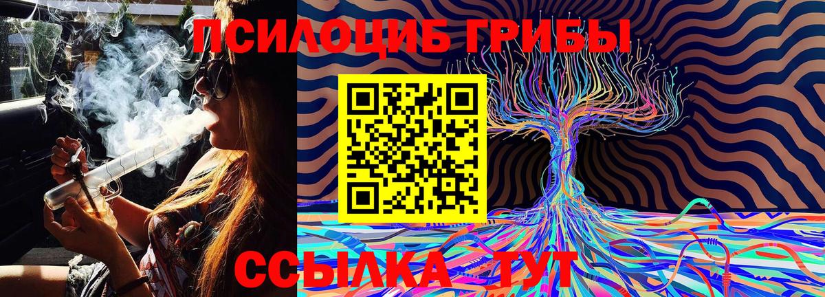 Галлюциногенные грибы Magic Shrooms  Псилоцибиновые грибы Cubensis  Лосино-Петровский  Вход с VPN 