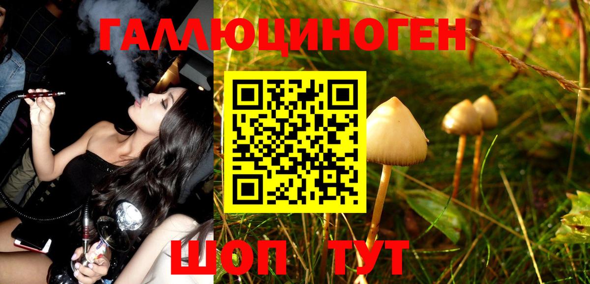 Галлюциногенные грибы Psilocybe Лосино-Петровский